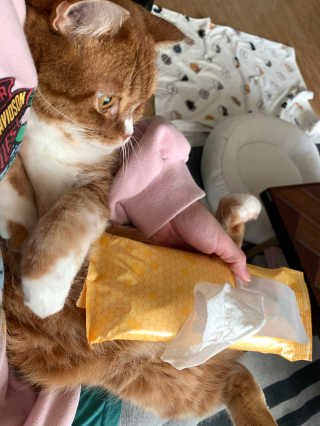 선짱님이 올린 리뷰 사진 2