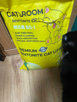 겟플렉스 켓플렉스 캣츠룸BS-1 고양이모래 4kg — 4점을 준 리뷰어가 2020년 12월 올린 사용 사진