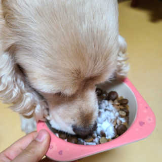 제니맘님이 올린 리뷰 사진 4