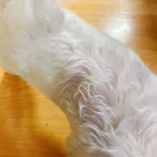 마요님이 올린 리뷰 사진 3