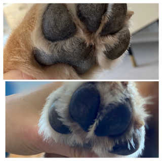 러블리초이님이 올린 리뷰 사진 2
