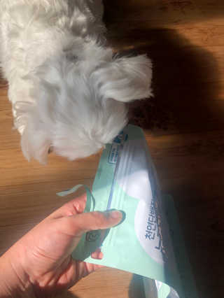 My Pet Care 천연단백질 눈건강에 개좋아 — 5점을 준 리뷰어가 2020년 11월 올린 사용 사진
