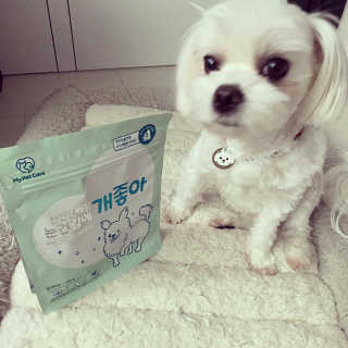 My Pet Care 천연단백질 눈건강에 개좋아 — 5점을 준 리뷰어가 2020년 11월 올린 사용 사진