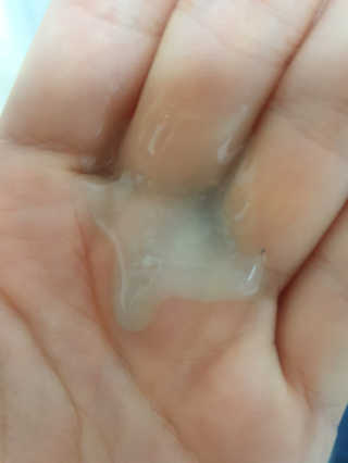 진진바님이 올린 리뷰 사진 4