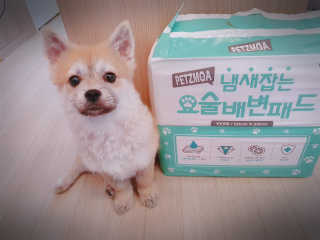 좋아님이 올린 리뷰 사진 1