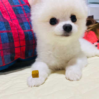 임수빈님이 올린 리뷰 사진 1