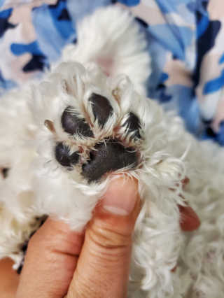 맨날배고파님이 올린 리뷰 사진 4