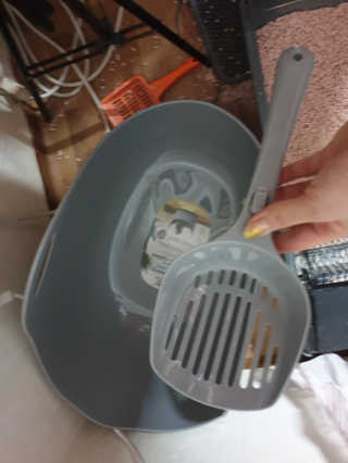 옹알이님이 올린 리뷰 사진 2