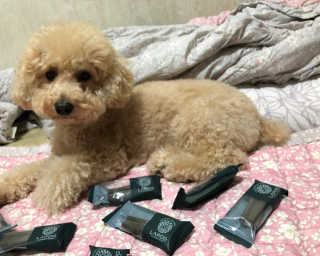 [푸디웜] 라포그 코어덴탈츄 그린 (10개입) — 5점을 준 리뷰어가 2020년 9월 올린 사용 사진