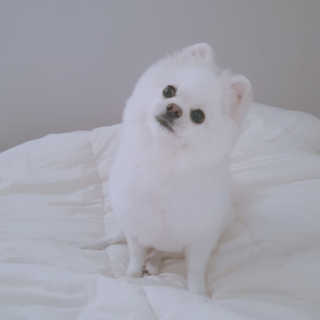 꺼네오기님이 올린 리뷰 사진 4