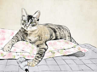바라기님이 올린 리뷰 사진 3