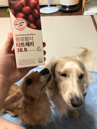 SoyoungChoi님이 올린 리뷰 사진 1