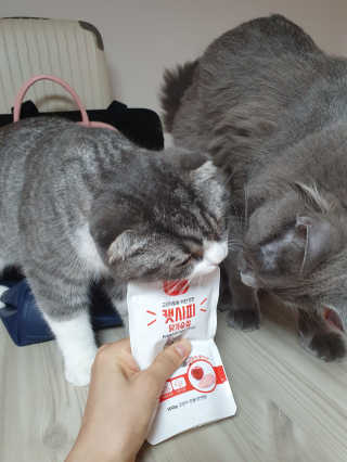 효성님이 올린 리뷰 사진 1
