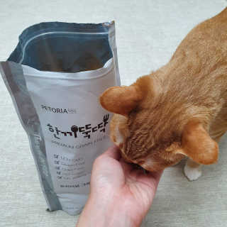 Dal님이 올린 리뷰 사진 3