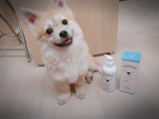 좋아님이 올린 리뷰 사진 1