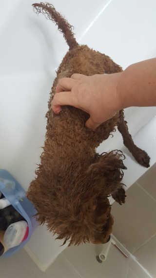 선인장님이 올린 리뷰 사진 2