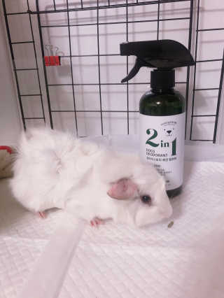 라기라기님이 올린 리뷰 사진 1