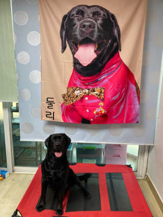 Lilly❤️님이 올린 리뷰 사진 2