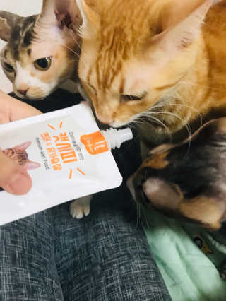 이아님이 올린 리뷰 사진 4