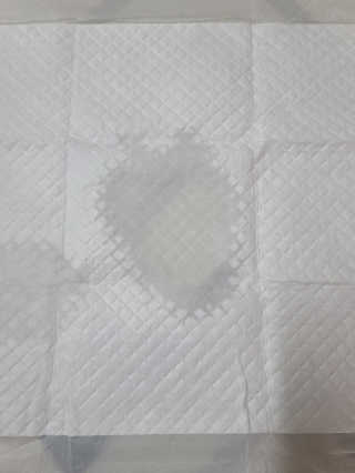 보리보리님이 올린 리뷰 사진 4