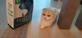 HarinKim님이 올린 리뷰 사진 1