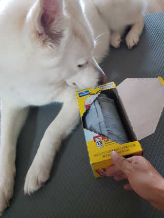 딸랑구둘🥰님이 올린 리뷰 사진 3