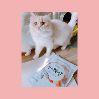 펫토리아 한끼뚝딱 프리미엄 고양이사료_그레인프리/헤어볼케어 — 5점을 준 리뷰어가 2020년 6월 올린 사용 사진
