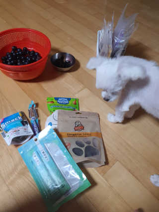 쮸동비님이 올린 리뷰 사진 2