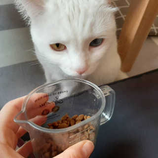야키소바빵님이 올린 리뷰 사진 3