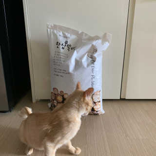 수경이야님이 올린 리뷰 사진 1