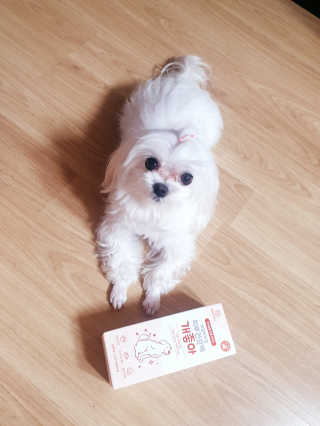 My Pet Care 모발과 모질 피부건강에 개좋아 — 5점을 준 리뷰어가 2021년 1월 올린 사용 사진