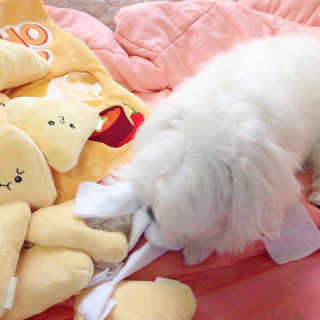 lala님이 올린 리뷰 사진 3