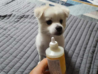 주여니이님이 올린 리뷰 사진 3