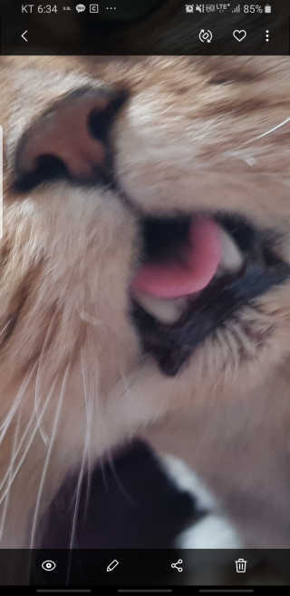 옹알이님이 올린 리뷰 사진 4