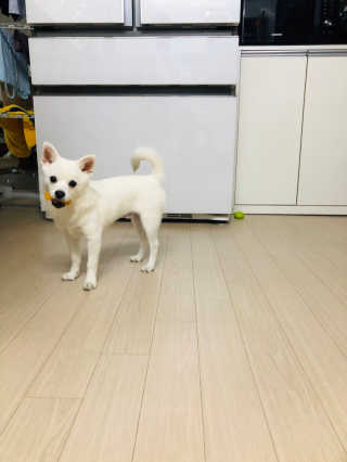 runa님이 올린 리뷰 사진 4