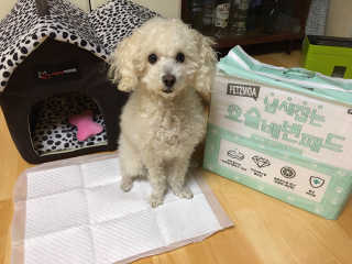 깜님이 올린 리뷰 사진 1