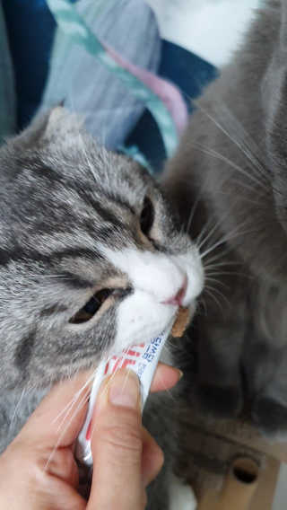 효성님이 올린 리뷰 사진 3