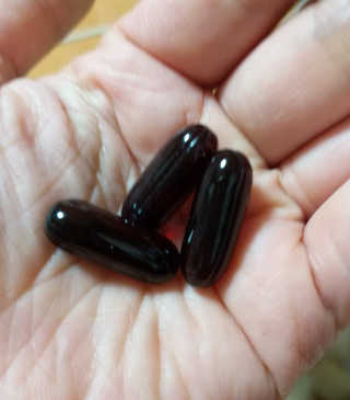 하나님이 올린 리뷰 사진 3