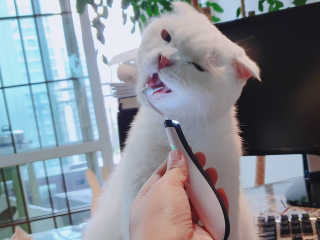 좋아님이 올린 리뷰 사진 1