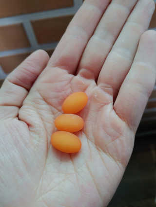 만만이집사님이 올린 리뷰 사진 4
