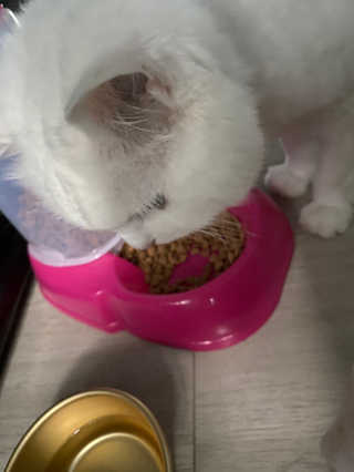 박소현님이 올린 리뷰 사진 1