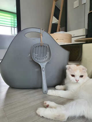 하이님이 올린 리뷰 사진 2