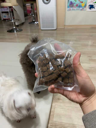 My Pet Care 천연단백질 관절건강에 개좋아 — 5점을 준 리뷰어가 2020년 11월 올린 사용 사진