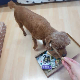 긍정미뇽님이 올린 리뷰 사진 3