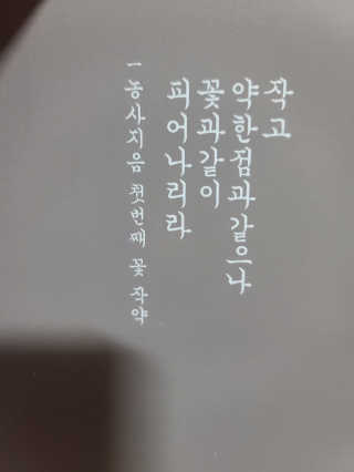 요니잉님이 올린 리뷰 사진 2