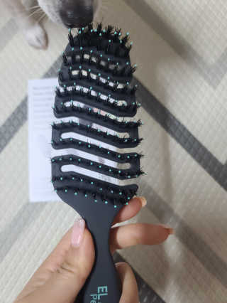 보리보리님이 올린 리뷰 사진 2