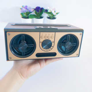 SEVIZ RETRO20W 레트로 블루투스 스피커 — 5점을 준 리뷰어가 2020년 7월 올린 사용 사진