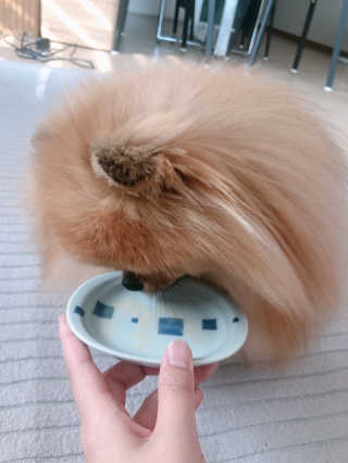 아롱이님이 올린 리뷰 사진 4