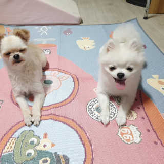 윤히포님이 올린 리뷰 사진 3