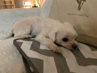 minjiriri님이 올린 리뷰 사진 1